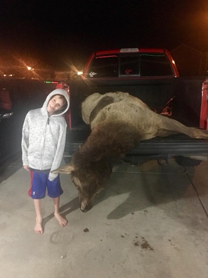 Hunting trophy